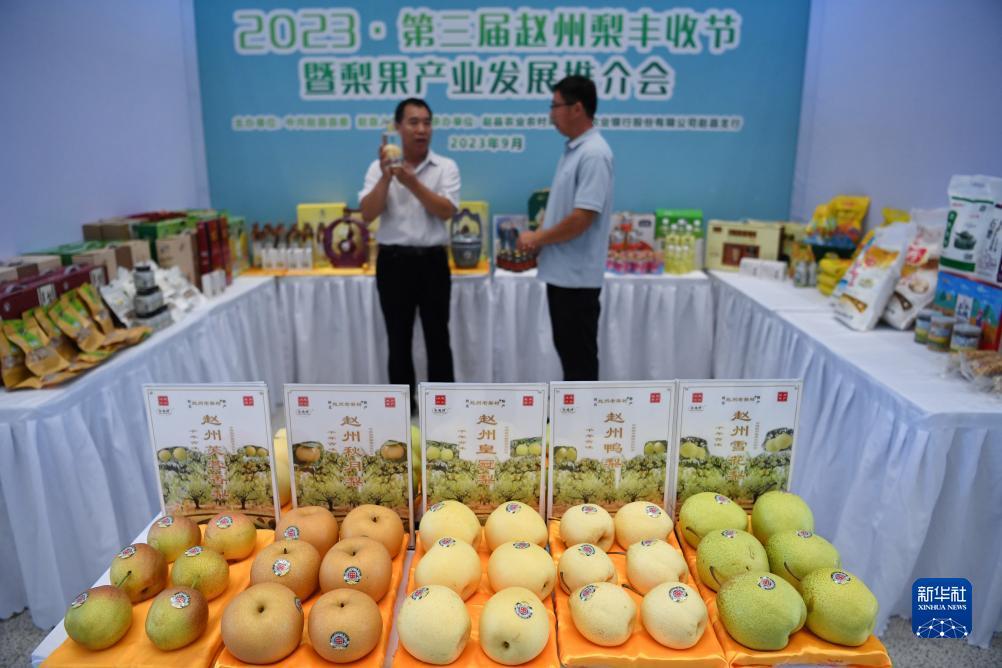 最火的注册送分的捕鱼